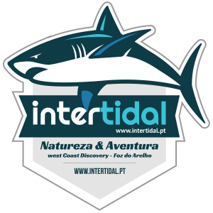 Intertidal - Natureza & Aventura, Foz do Arelho